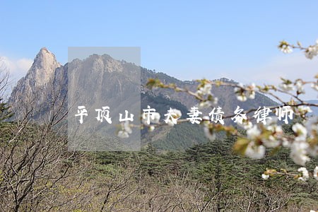 平顶山市夫妻债务律师 平顶山市夫妻债务律师