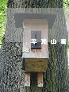 平顶山离婚律师收费 平顶山离婚律师收费