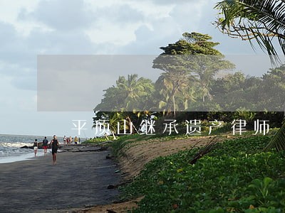 平顶山继承遗产律师 平顶山继承遗产律师