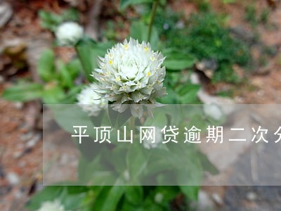 平顶山网贷逾期二次分期 平顶山网贷逾期二次分期