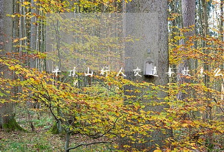 平顶山行人交通事故怎么诉讼 平顶山行人交通事故怎么诉讼