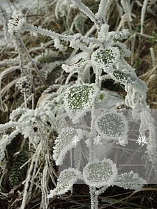 平顶山银行洛阳分行违法遭罚 平顶山银行洛阳分行违法遭罚