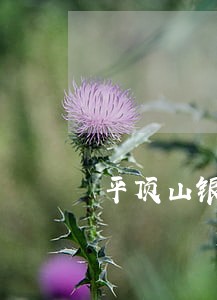 平顶山银行逾期标准 平顶山银行逾期标准
