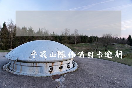 平顶山陈伟信用卡逾期 平顶山陈伟信用卡逾期