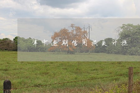 年中逾期信用损失计提