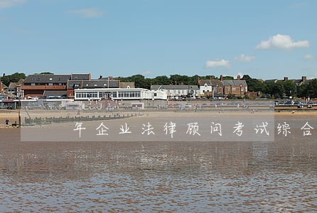 年企业法律顾问考试综合真题 年企业法律顾问考试综合真题