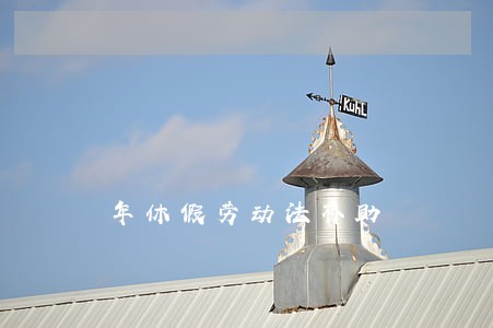 年休假劳动法补助 年休假劳动法补助