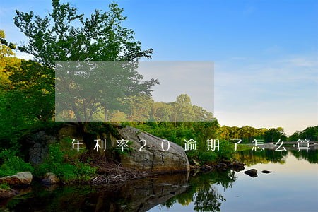 年利率20逾期了怎么算