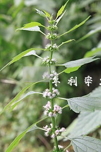 年利率20逾期了怎么算的 年利率20逾期了怎么算的