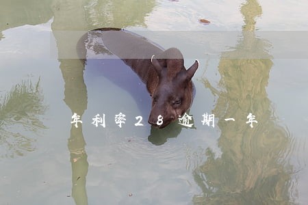 年利率28逾期一年 年利率28逾期一年