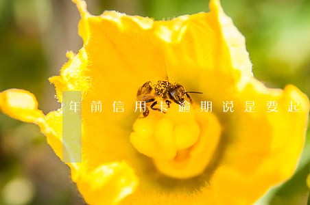 年前信用卡逾期说是要起诉 年前信用卡逾期说是要起诉