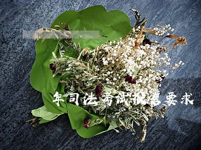 年司法考试报名要求 年司法考试报名要求