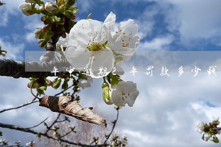 年审逾期2年罚款多少钱 年审逾期2年罚款多少钱