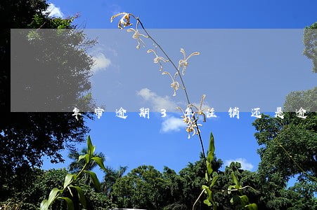 年审逾期3年注销还是逾期三次 年审逾期3年注销还是逾期三次