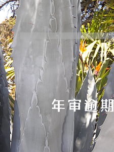 年审逾期4年能不能办理报废 年审逾期4年能不能办理报废