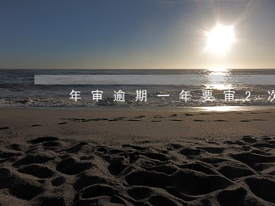 年审逾期一年要审2次吗 年审逾期一年要审2次吗