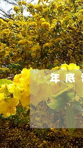 年底讨薪法律援助来帮忙