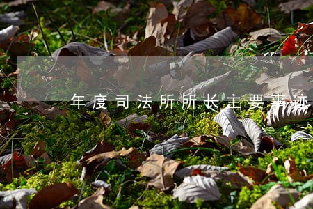 年度司法所所长主要事迹 年度司法所所长主要事迹