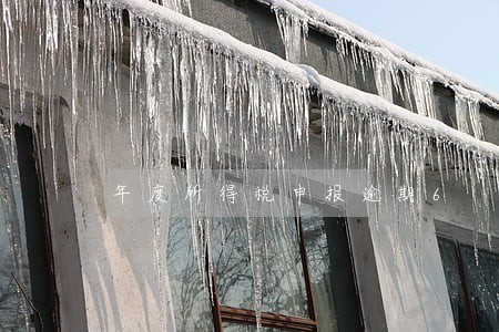 年度所得税申报逾期6 年度所得税申报逾期6
