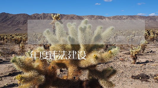 年度违法建设 年度违法建设