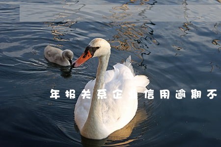 年报关系企业信用逾期不报