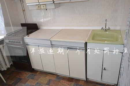 年报逾期1个月处罚标准