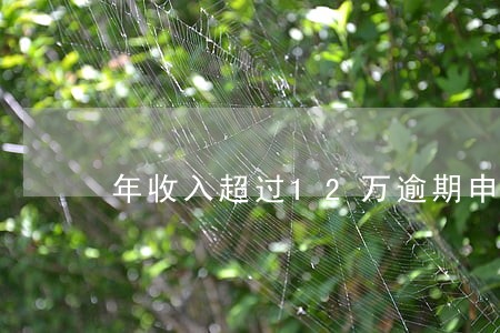 年收入超过12万逾期申报