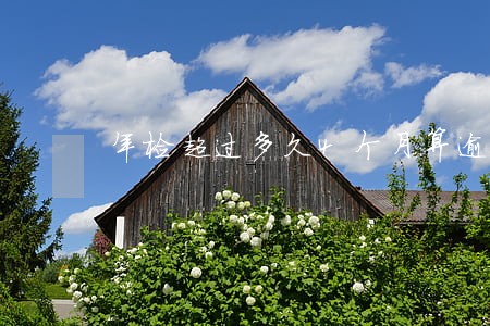年检超过多久4个月算逾期 年检超过多久4个月算逾期