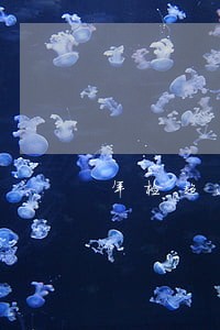 年检超过多久算逾期2年 年检超过多久算逾期2年