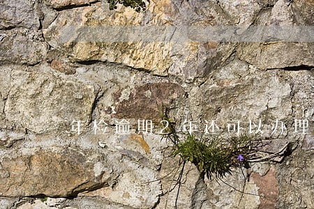年检逾期2年还可以办理吗 年检逾期2年还可以办理吗