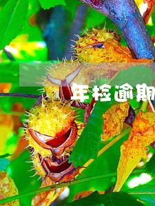 年检逾期3年了罚款多少 年检逾期3年了罚款多少
