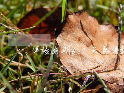 年检逾期60天再年检保险赔付 年检逾期60天再年检保险赔付