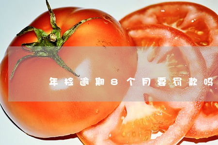 年检逾期8个月要罚款吗 年检逾期8个月要罚款吗