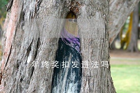 年终奖扣发违法吗 年终奖扣发违法吗
