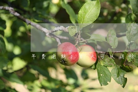 年费逾期20天可以消除征信 年费逾期20天可以消除征信