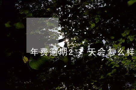 年费逾期27天会怎么样 年费逾期27天会怎么样