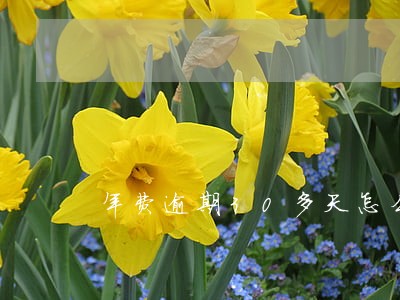 年费逾期30多天怎么申请消除 年费逾期30多天怎么申请消除