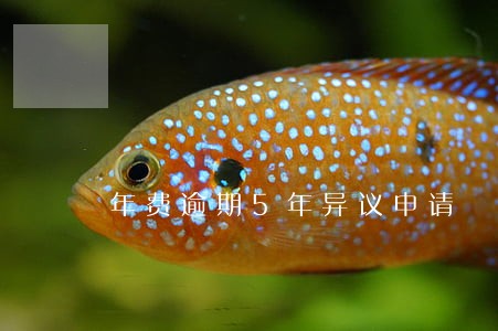 年费逾期5年异议申请 年费逾期5年异议申请