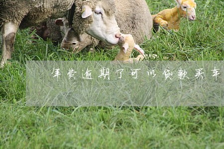 年费逾期了可以贷款买车吗 年费逾期了可以贷款买车吗