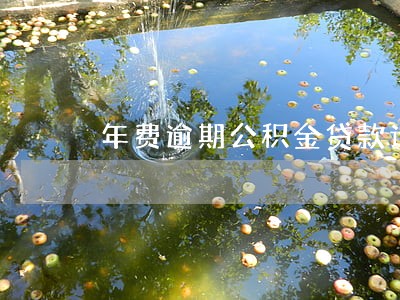 年费逾期公积金贷款计算器 年费逾期公积金贷款计算器