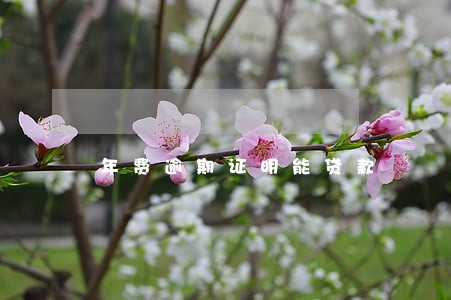 年费逾期证明能贷款 年费逾期证明能贷款