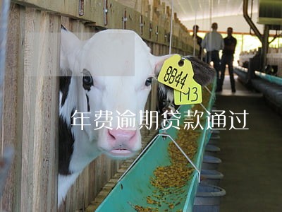 年费逾期贷款通过 年费逾期贷款通过