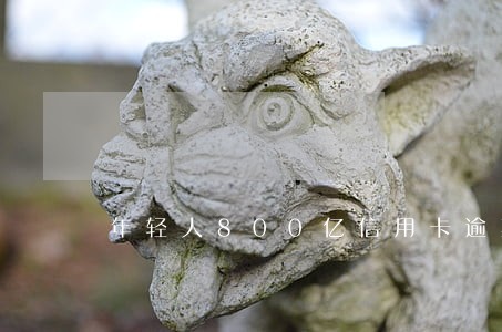 年轻人800亿信用卡逾期 年轻人800亿信用卡逾期