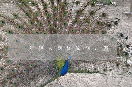 年轻人网贷逾期7万