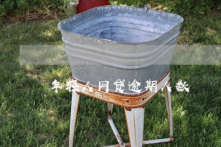 年轻人网贷逾期人数 年轻人网贷逾期人数