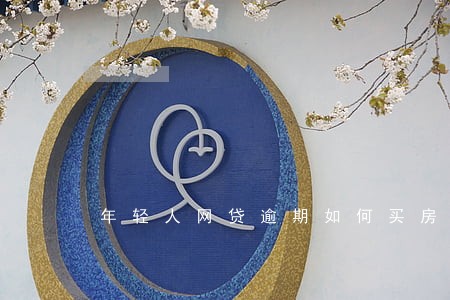 年轻人网贷逾期如何买房 年轻人网贷逾期如何买房