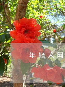 年轻人网贷逾期的后果 年轻人网贷逾期的后果