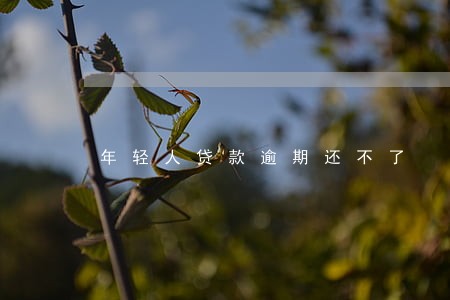 年轻人贷款逾期还不了 年轻人贷款逾期还不了