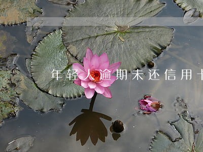 年轻人逾期未还信用卡怎么看 年轻人逾期未还信用卡怎么看