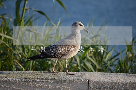 年轻小伙两次离婚
